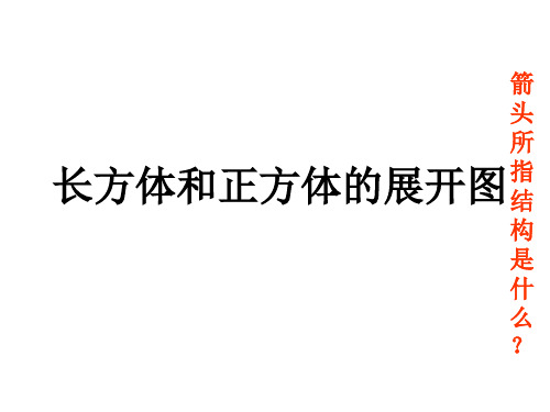 正方体和长方体的展开图