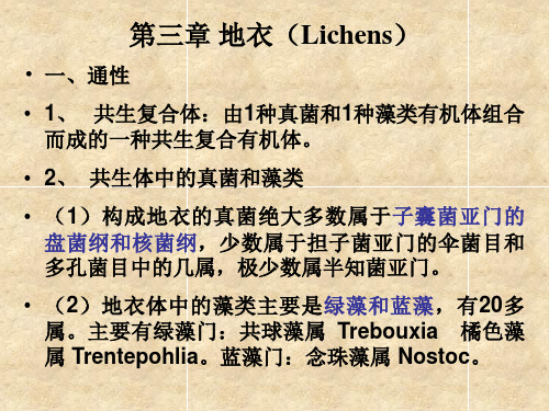 第7章 地衣(Lichens)