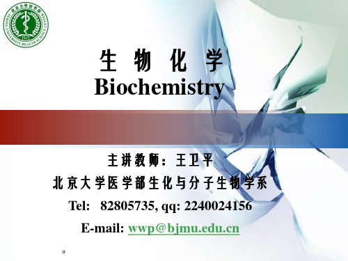 生物化学课件(杨洋)4第六章 糖代谢