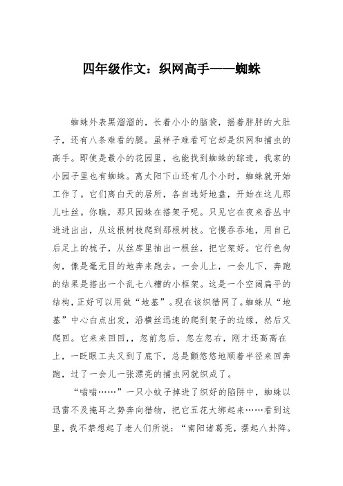 四年级作文：织网高手——蜘蛛
