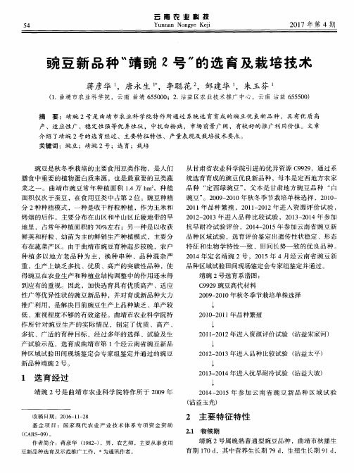 豌豆新品种“靖豌2号”的选育及栽培技术