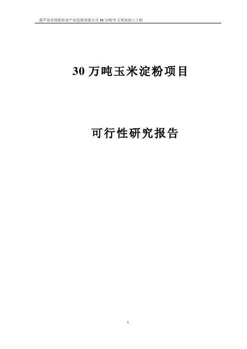 30万吨玉米淀粉可行性研究报告
