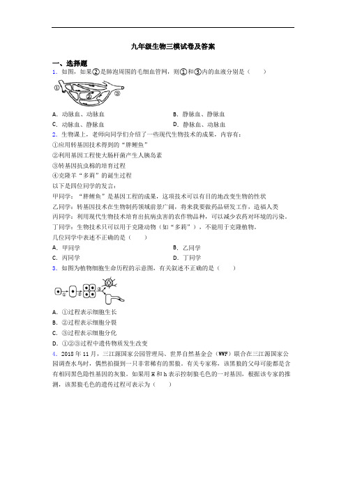 九年级生物三模试卷及答案