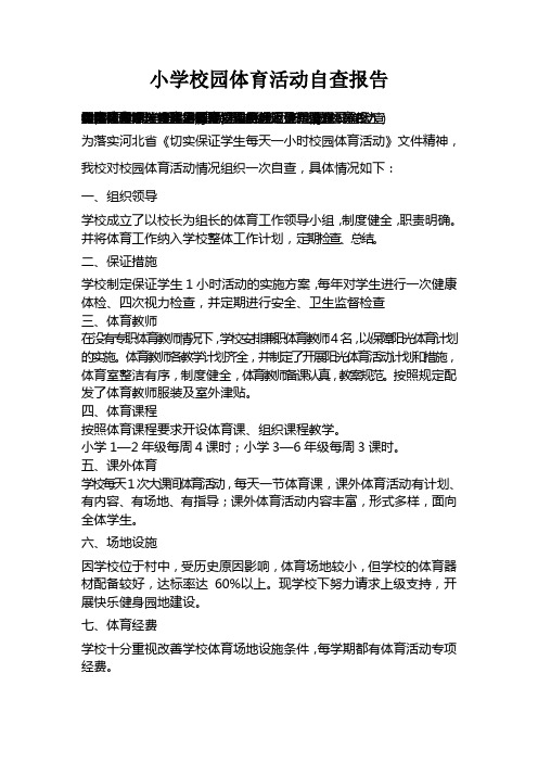 小学校园体育活动自查报告