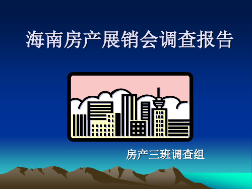 海南房地产调查报告