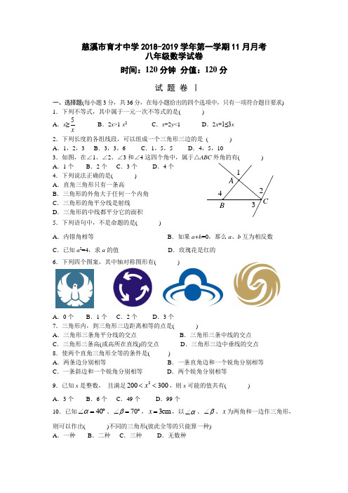 八年级数学11月月考试卷有答案