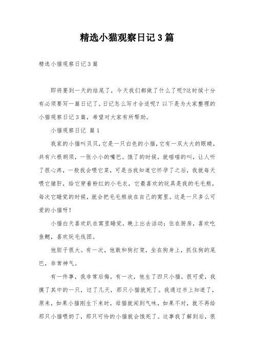 精选小猫观察日记3篇