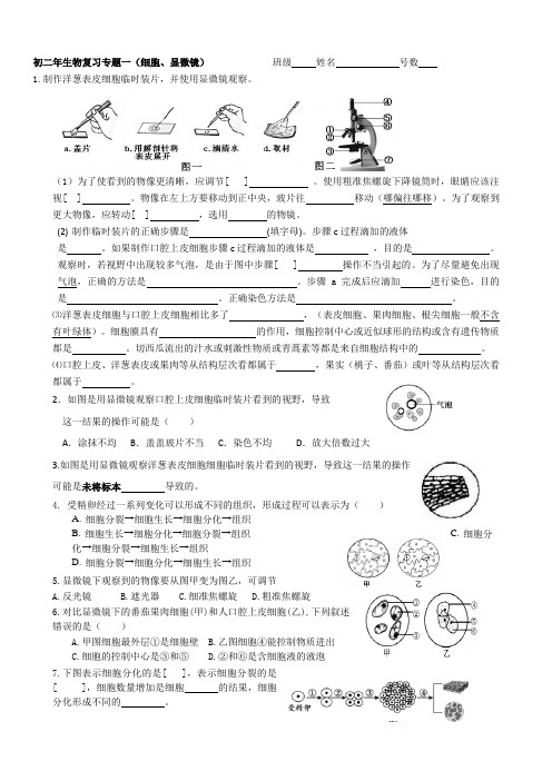 2019年初中生物专题复习一到九专题