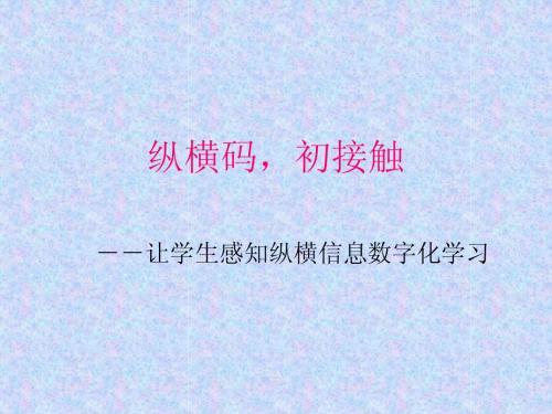 纵横码,初接触