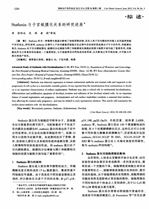 Stathmin与子宫蜕膜化关系的研究进展