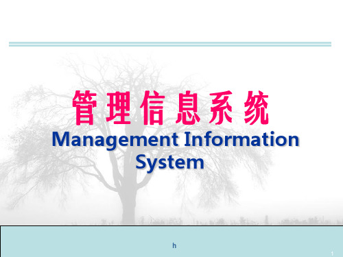 管理信息系统ManagementInformationSystem课件