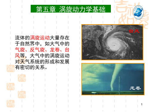 流体力学第五章(涡旋动力学基础)