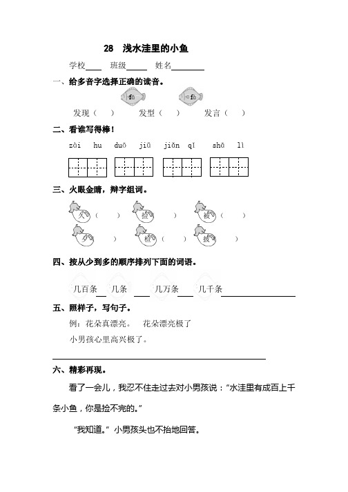 人教版小学语文二年级上册练习：28  浅水洼里的小鱼
