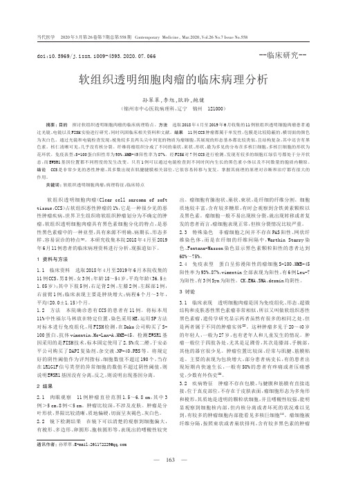 软组织透明细胞肉瘤的临床病理分析