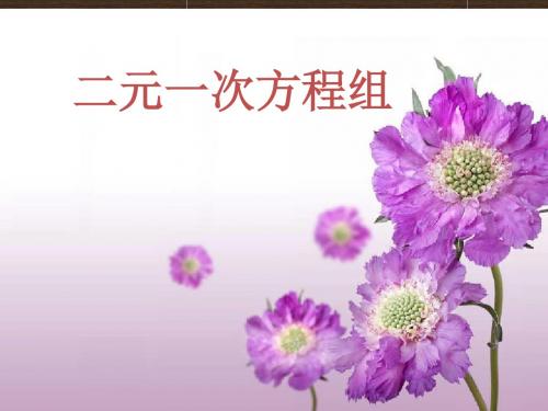 苏科版七年级数学下册课件10.2二元一次方程组