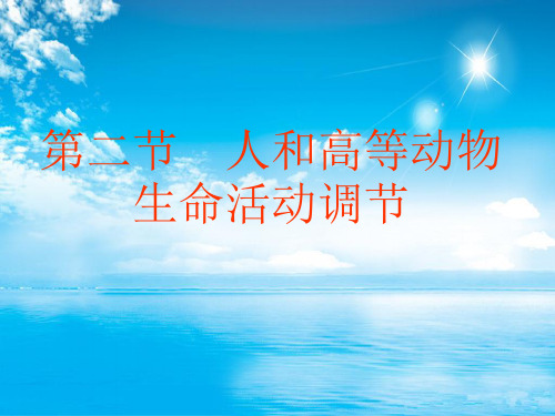 体液调节PPT教学课件