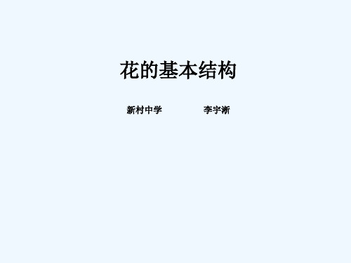 生物人教版七年级上册花的基本结构
