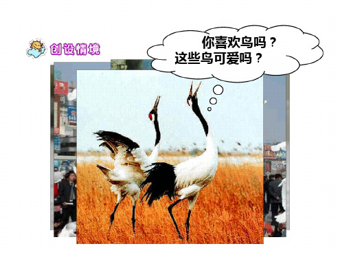 父亲和鸟课件4