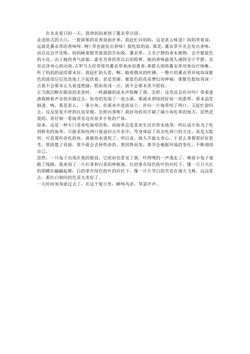 四年级暑假作文：薰衣草公园游记