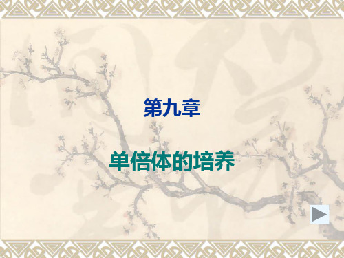 第九章  单倍体的培养