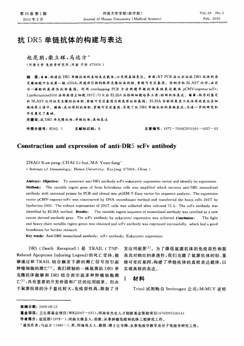 抗DR5单链抗体的构建与表达