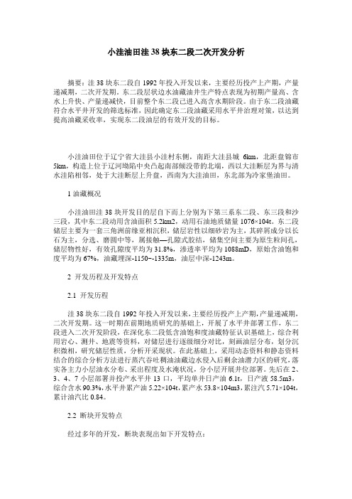 小洼油田洼38块东二段二次开发分析