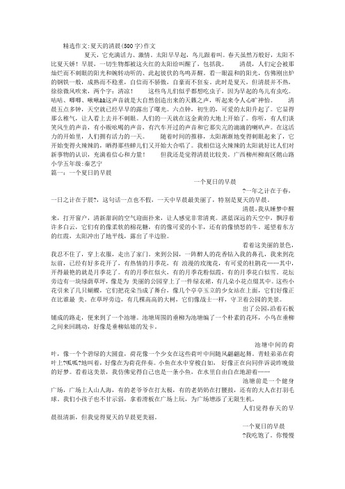 夏天的清晨(500字)作文