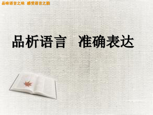 语言品析PPT课件