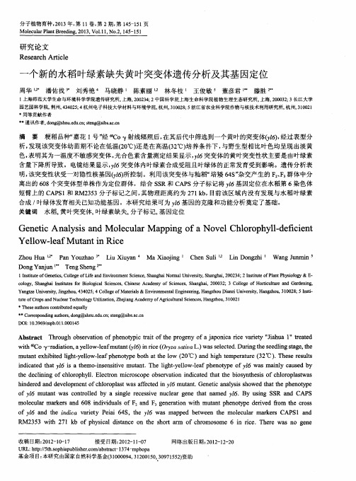一个新的水稻叶绿素缺失黄叶突变体遗传分析及其基因定位
