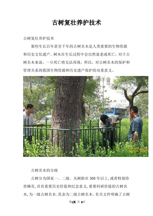 古树复壮养护技术