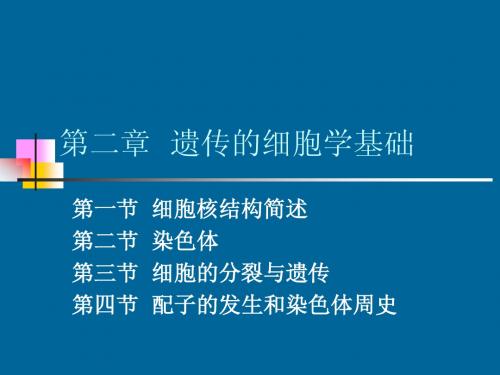 遗传学 第二章 遗传的细胞学基础(1)