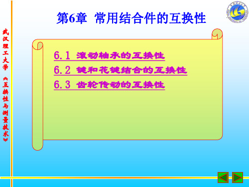 互换性与公差 第6章 常用结合件的互换性教材