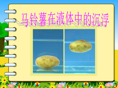 《马铃薯在液体中的沉浮》沉和浮PPT课件 (共10张PPT)
