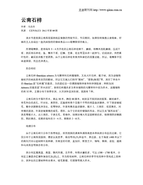 云南石梓