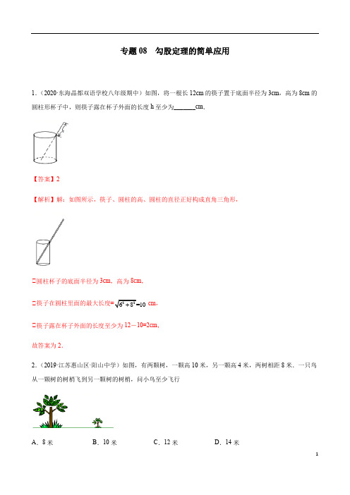 专题08 勾股定理的简单应用八年级数学上学期期中考试好题汇编(苏科版)(解析版)