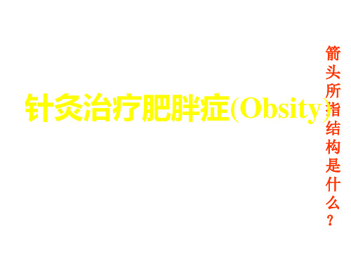 针灸治疗肥胖症
