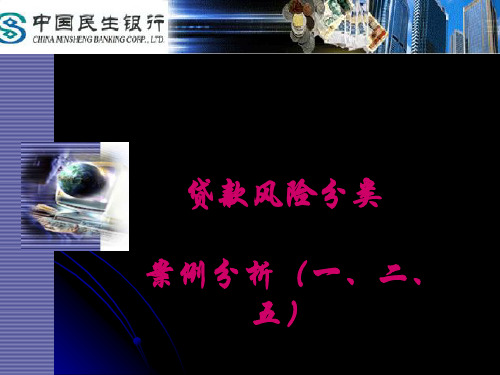 贷款风险分类案例分析(PPT 43张)