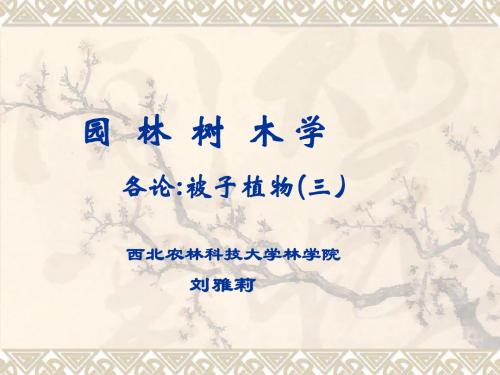 被子植物三
