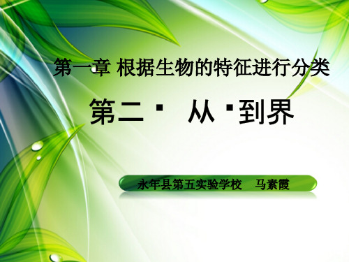 生物八年级上册6.1.2从种到界课件