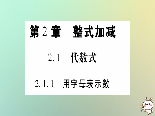 秋沪科版七年级数学上册习题课件：2.1代数式2.1.1用字母表示数