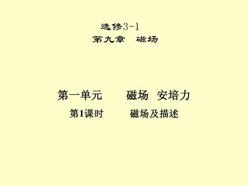 2013高考一轮复习优秀课件：第九章磁场第一单元 第1课时