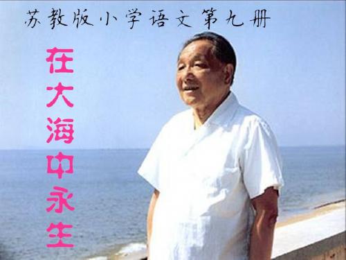 苏教版小学语文第九册《大海中永生》第二课时PPT