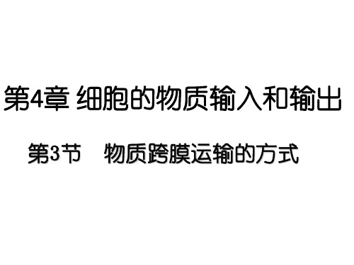 4.3 物质跨膜运输方式