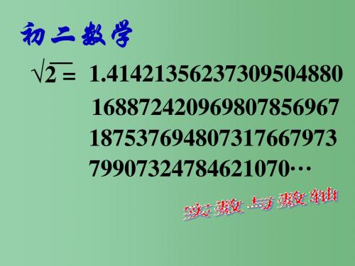 八年级数学上册 11.2 实数课件 (新版)华东师大版