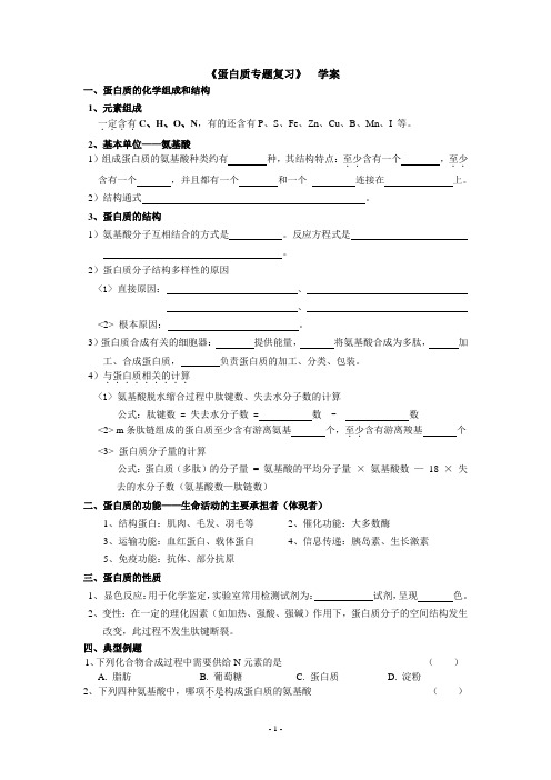 高中生物蛋白质专题复习学案