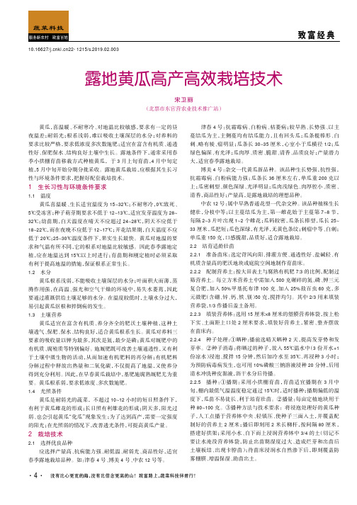 露地黄瓜高产高效栽培技术