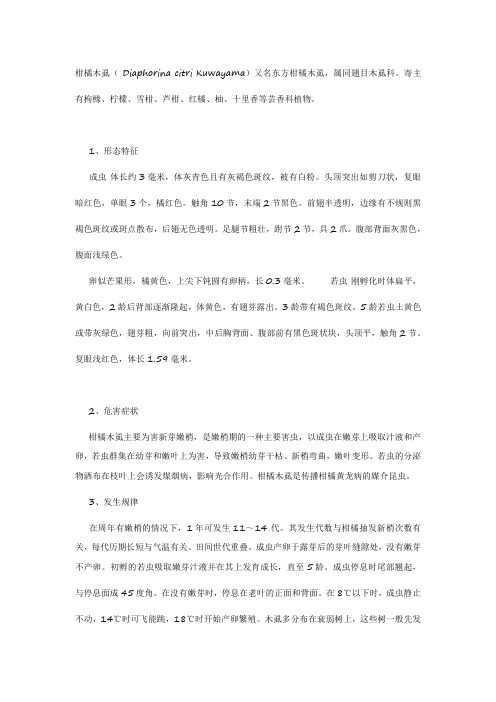 柑橘木虱
