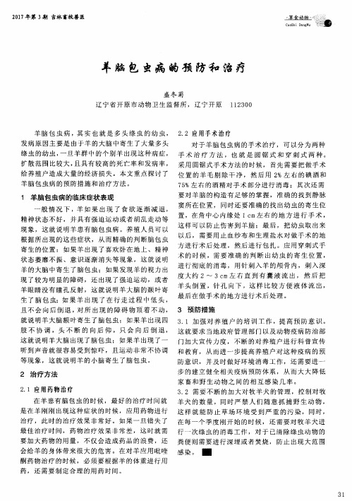 羊脑包虫病的预防和治疗