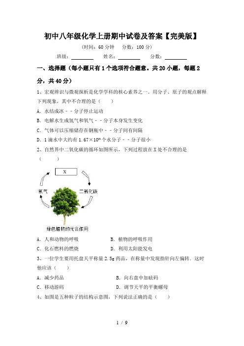 初中八年级化学上册期中试卷及答案【完美版】
