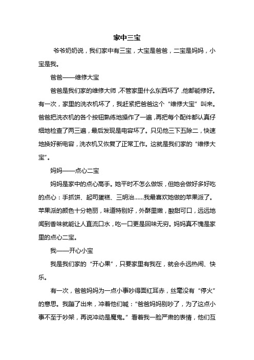 五年级作文：家中三宝作文500字